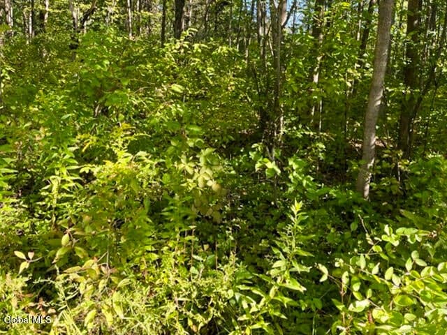 L12.3 Humphrey Road, Fultonville, NY, photo 5