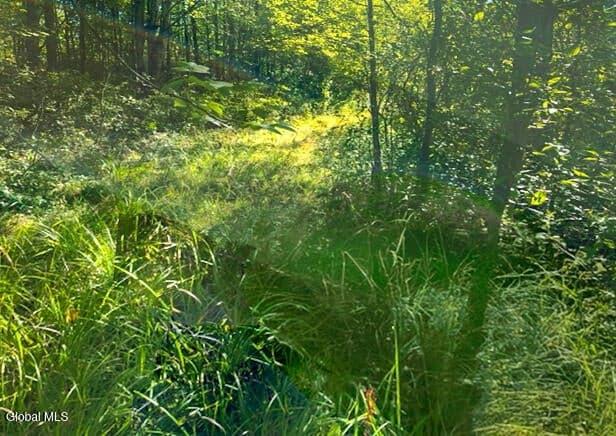 L12.3 Humphrey Road, Fultonville, NY, photo 1