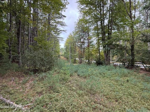 L33 Sawmill Road, Bolton, NY, photo 1