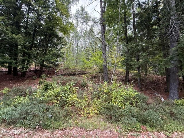 L33 Sawmill Road, Bolton, NY, photo 3