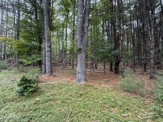 L33 Sawmill Road, Bolton, NY, photo 4