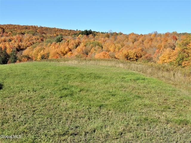 274 Bald Mountain Road, Brunswick, NY, photo 5