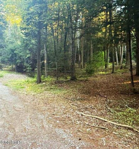 L31 Clarkson Road, Chester, NY, photo 2