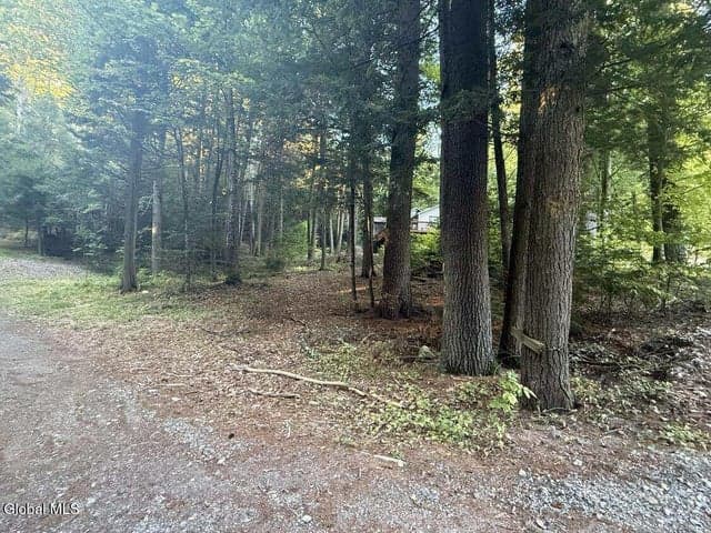 L31 Clarkson Road, Chester, NY, photo 3