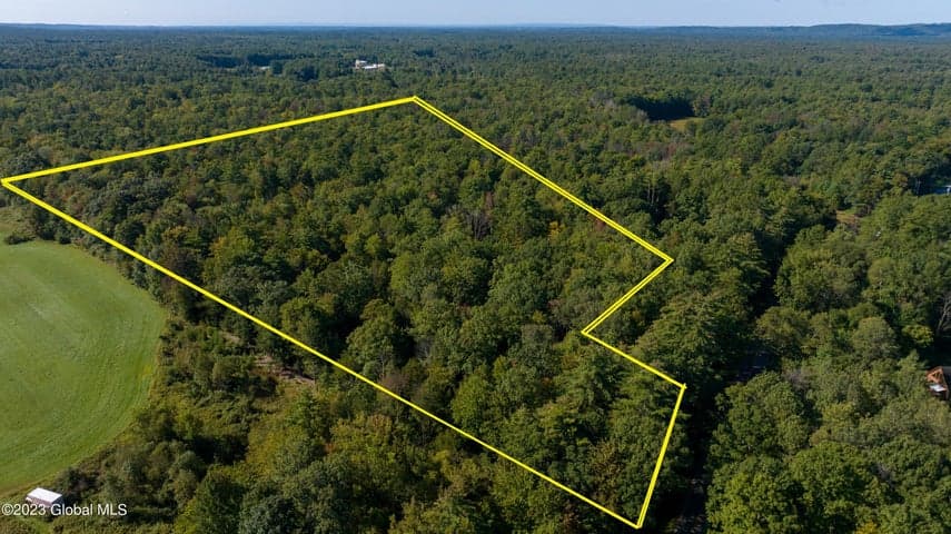 313 Pettis Road, Wilton, NY, photo 5