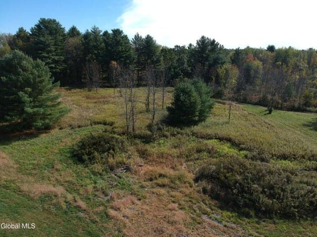 4 Vittorio Trail, Clifton Park, NY, photo 4