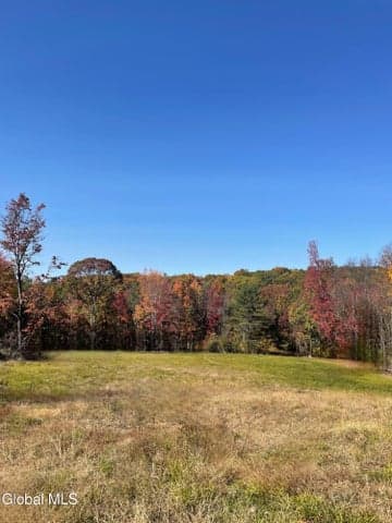 124 Thorne Road, Chatham, NY, photo 4