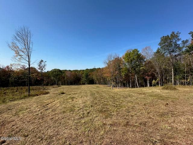 124 Thorne Road, Chatham, NY, photo 5