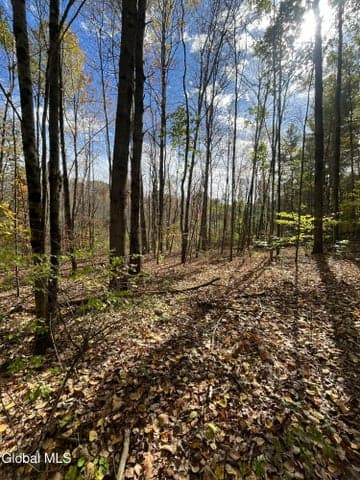 L5.2 Warner Road, Hebron, NY, photo 3