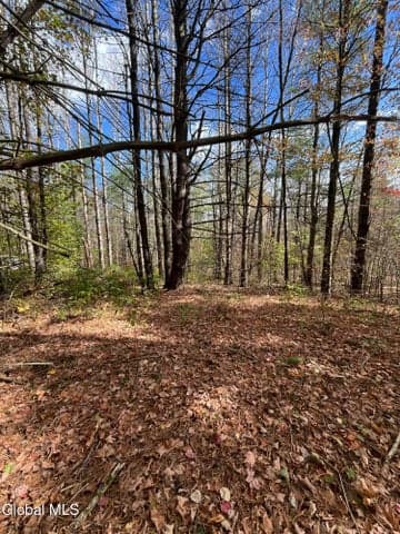 L5.2 Warner Road, Hebron, NY, photo 1