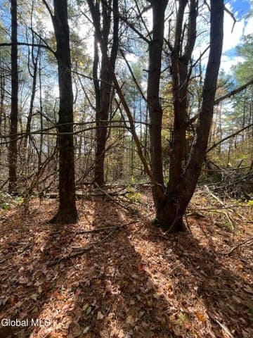 L5.2 Warner Road, Hebron, NY, photo 5