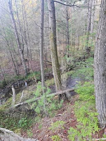 L35.1 Military Road, Edinburg, NY, photo 2