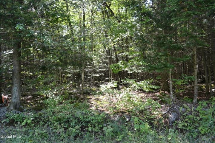 9 Diamond RIdge Road, Bolton, NY, photo 4