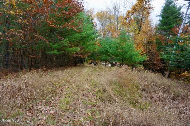 75 Carey Road, Day, NY, photo 1
