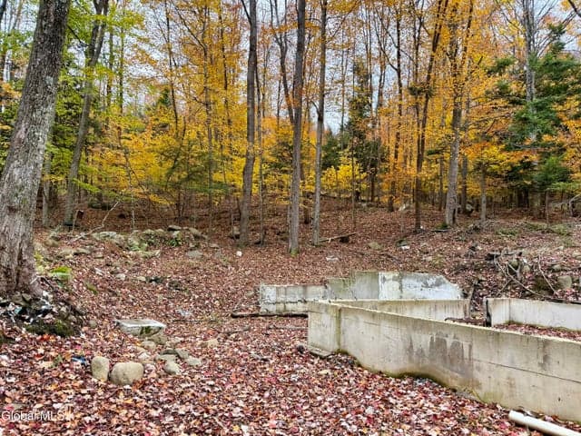 75 Carey Road, Day, NY, photo 3