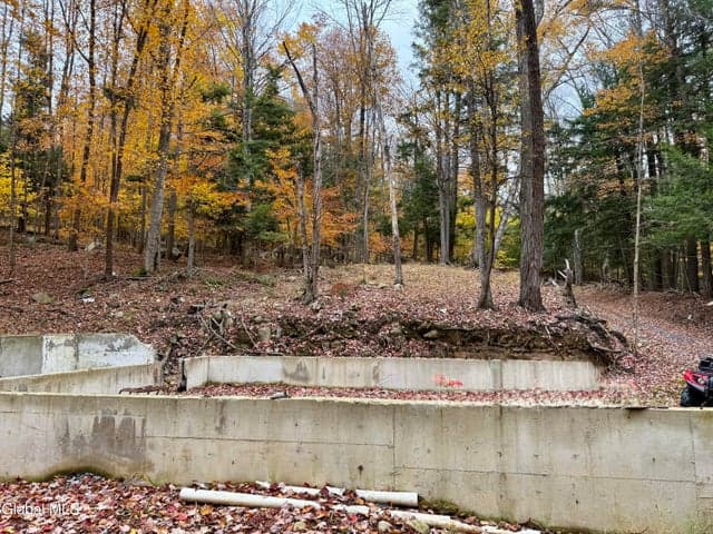 75 Carey Road, Day, NY, photo 4