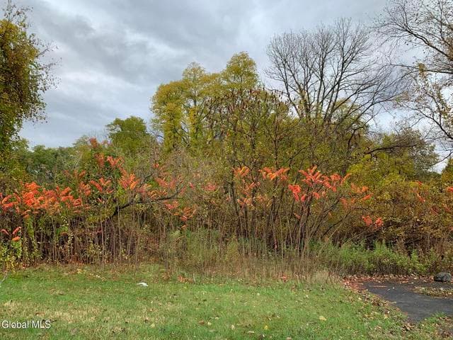 1853 Route 9, Halfmoon, NY, photo 2