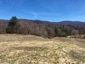 L35 West Road, Stephentown, NY, photo 2