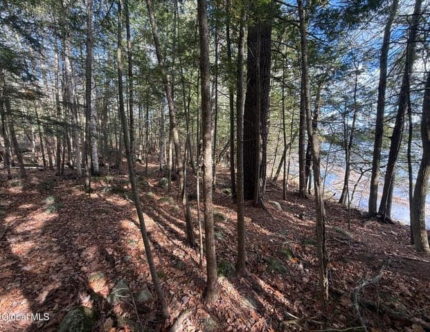 23 Teds Way, Bolton, NY, photo 4