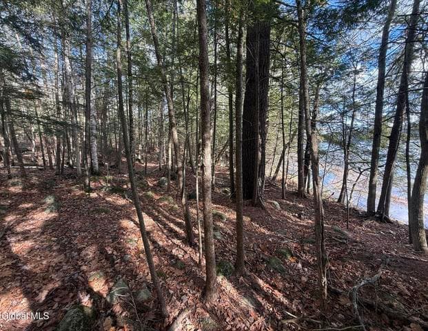 26 Teds Way, Bolton, NY, photo 4