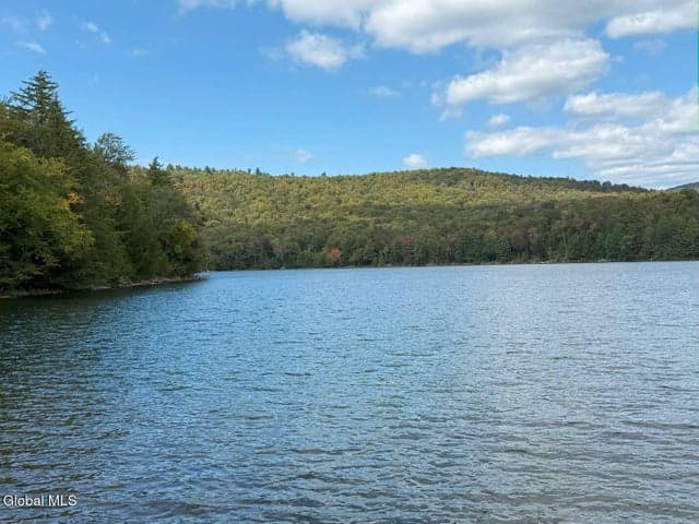 83 Burritt Lane, Schroon Lake, NY, photo 3