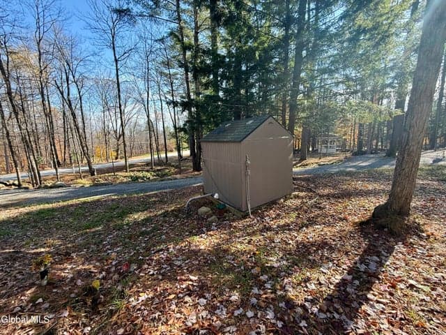 319 Snow Rd Road, Day, NY, photo 4