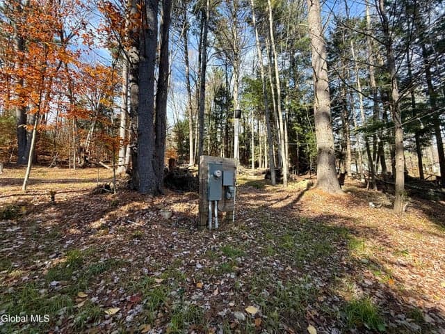 319 Snow Rd Road, Day, NY, photo 5