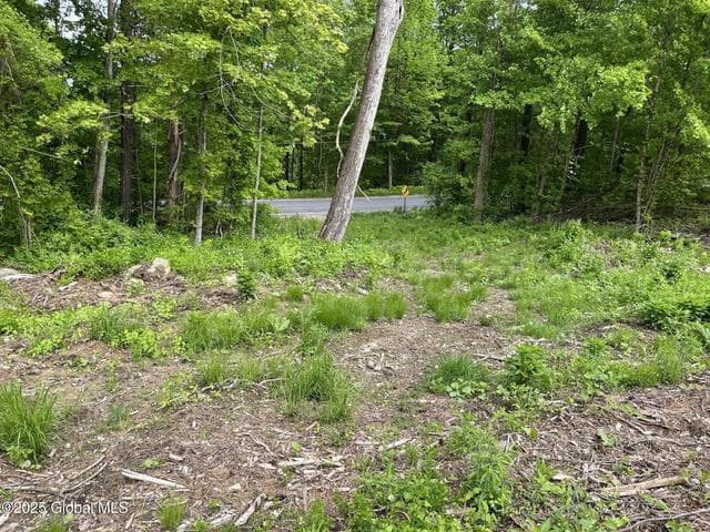 L4.3 Tripoli Road, Kingsbury, NY, photo 3