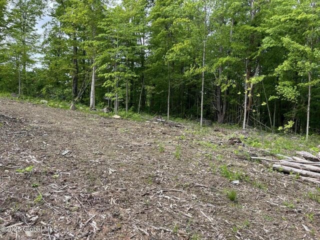 L4.3 Tripoli Road, Kingsbury, NY, photo 4