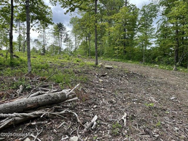 L4.3 Tripoli Road, Kingsbury, NY, photo 5
