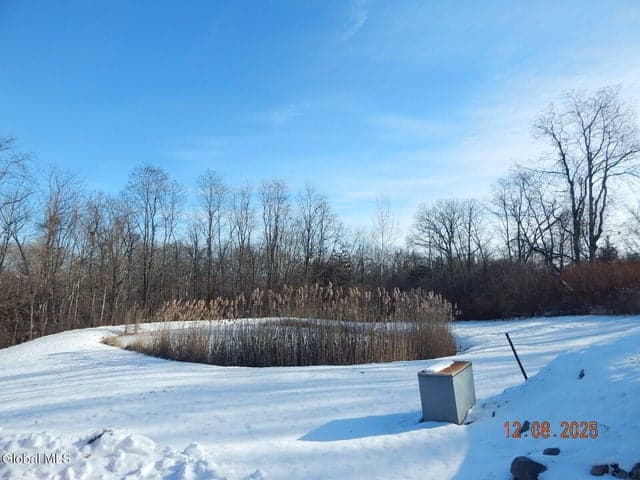 250 Old Quarry Road, Bethlehem, NY, photo 5