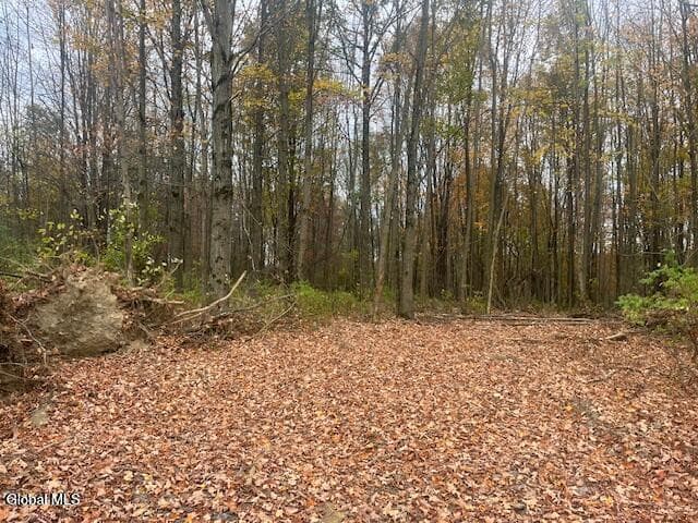 811 Corbin Hill Road, Charleston, NY, photo 5