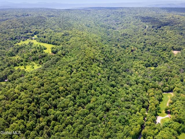 255 Lassen Road, Broome, NY, photo 4