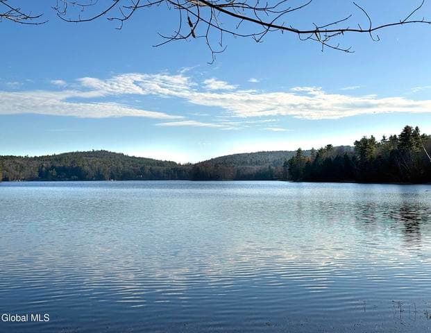 23 Teds Way, Bolton, NY