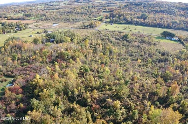 L4 Mapletown Road, Root, NY, photo 3