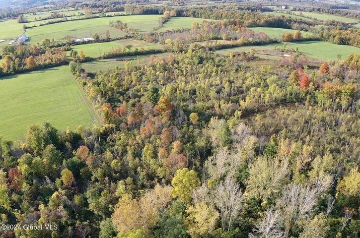 L4 Mapletown Road, Root, NY, photo 5