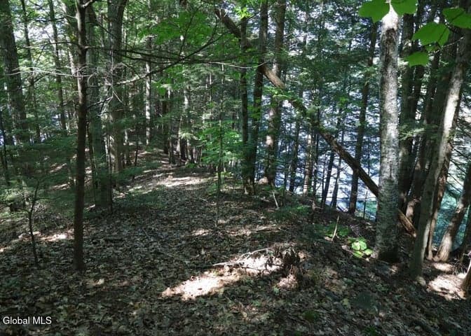 36 Fuller Drive #Prvt, Corinth, NY, photo 2