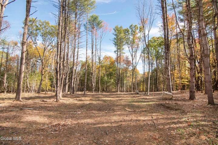 113a Sand Hill Road, Greenfield, NY, photo 1