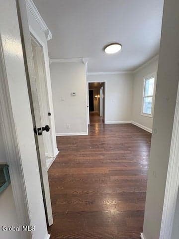 1020 Pearl Street, Schenectady, NY, photo 4