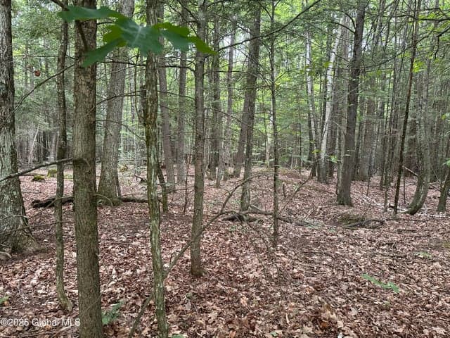 2 Diamond Ridge Road, Bolton, NY, photo 3