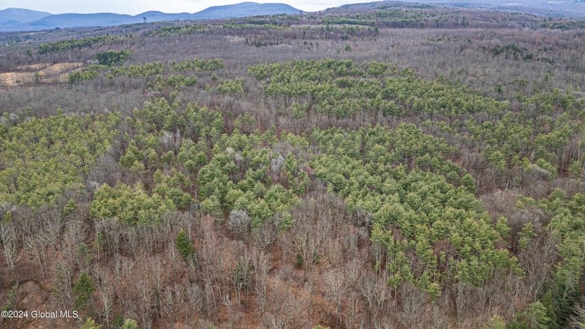 4875-4879 Potter Hollow Road, Rensselaerville, NY, photo 4