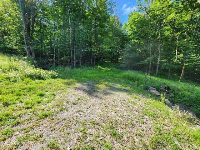 140 Roaser Road, Sand Lake, NY, photo 1