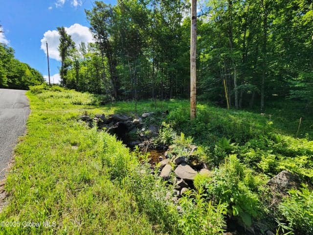 140 Roaser Road, Sand Lake, NY, photo 3