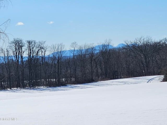L29A Ridge Road, Stuyvesant, NY, photo 2