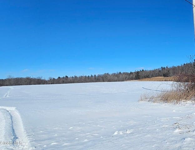 L29A Ridge Road, Stuyvesant, NY, photo 3
