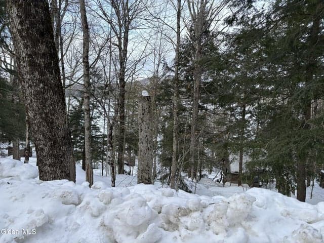 L25 Sand Point Road, Caroga, NY, photo 1
