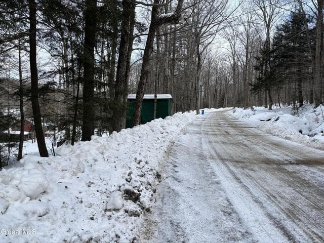 L25 Sand Point Road, Caroga, NY, photo 2