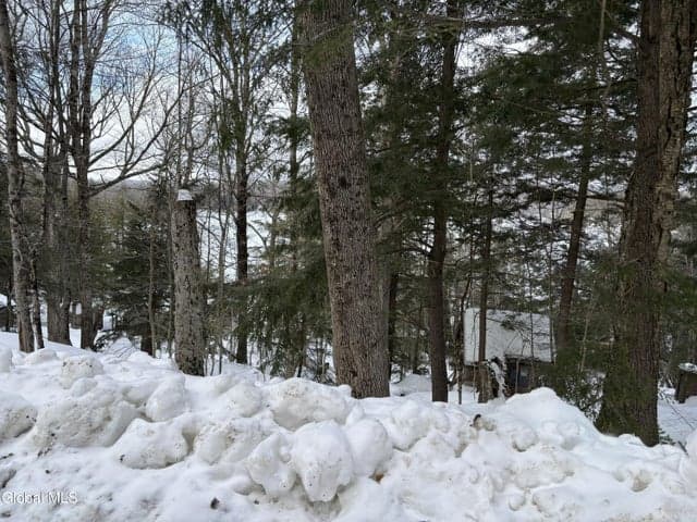 L25 Sand Point Road, Caroga, NY, photo 4