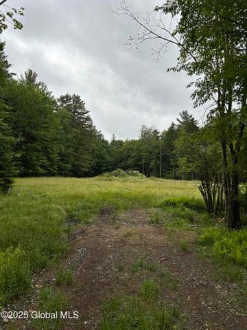 L40.12 Persch Road, Bleecker, NY, photo 2