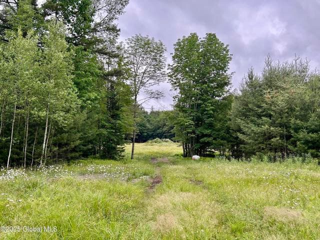 L40.12 Persch Road, Bleecker, NY, photo 5